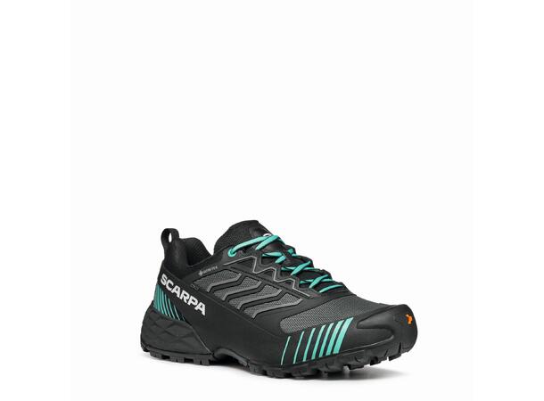 Ribelle Run Xt Gtx Wmn