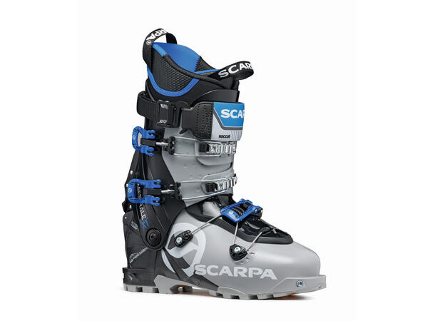 Maestrale XT Cool Gray/Black/Blue 255 (40)